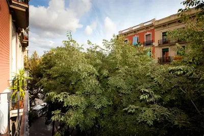 a tree in the middle of a street with buildings at ApartEasy - Family Sant Antoni apt. in Barcelona