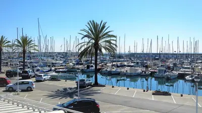 a marina filled with lots of boats and palm trees at Marina Port & Beach-Apartment in Masnou