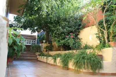 a garden with plants and trees on a wall at Apartamento Mar y Montaña in Argentona