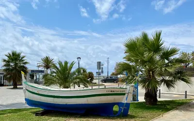 a boat sitting on the grass next to a palm tree at Musclera in Arenys de Mar