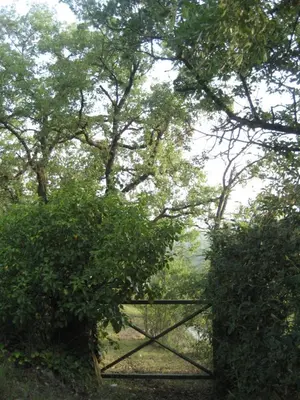 a gate in the middle of two trees at Entre Roures in Moià