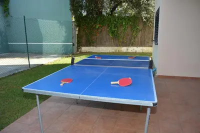 a blue ping pong table with two tennis rackets on it at Villa Med A 2 kilometros andando de la playa, del puerto de Aguadoç y a 4 del centro de Sitges Muy Soleada todo el dia Capacidad superior a 16 personas NO REQUIERE COCHE in Sitges