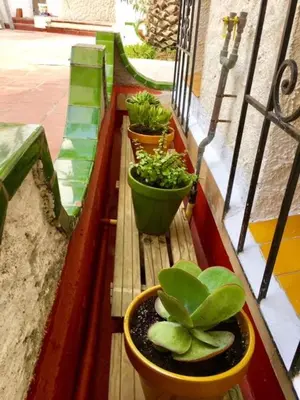 a balcony with three potted plants on a ledge at The Magic Sea Front by Hello Homes Sitges in Sitges