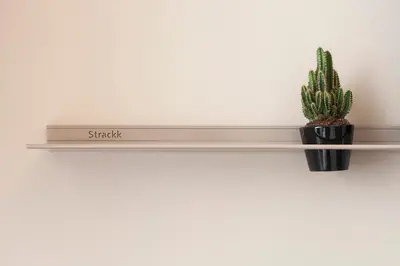 a shelf with a plant on a wall at DestinationBCN - Universitat Rooms in Barcelona
