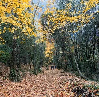two people walking down a trail in the woods at Rincón de piedra BCN in Corró de Vall