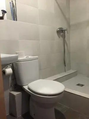 a bathroom with a toilet and a shower at Hostal Delfos in Barcelona