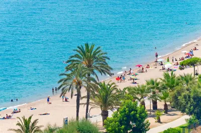 people on a beach with palm trees and the ocean at Apartments Sorrabona in Pineda de Mar