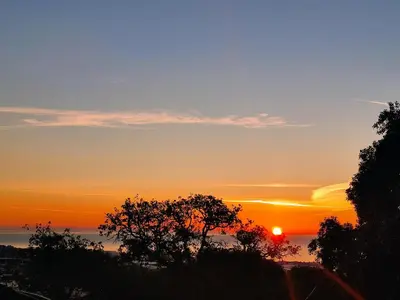 a sunset over the ocean with a tree in the foreground at Cal Músic B&B in Premia de Dalt