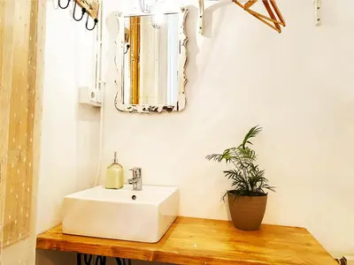 a bathroom with a white sink and a potted plant at Hostal Portugal in Barcelona