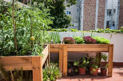 a wooden raised garden with plants in it at Studio Hostel in Barcelona