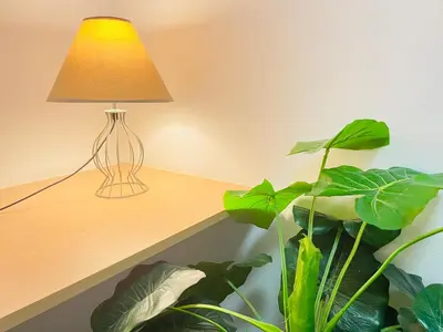 a lamp sitting on a shelf next to a plant at Apartamento Sants in Barcelona