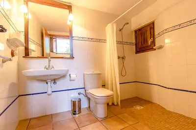 a bathroom with a toilet and a sink and a mirror at Catalunya Casas Country Chateau for 22 persons - close to Sitges! in Les Masuques