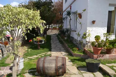 a barrel sitting in the grass next to a house at Hostal Casa Torrent in Canet de Mar