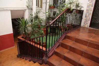 a staircase with a bunch of potted plants at Central Station Hostel Barcelona in Barcelona