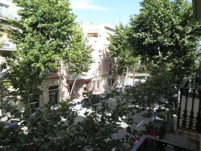 two trees in front of a building at Bacrou apartment, design loft near the sea in Barcelona