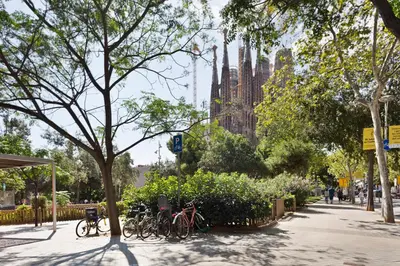 a group of bikes parked next to a tree at KeyFamily Cozy Home in Barcelona