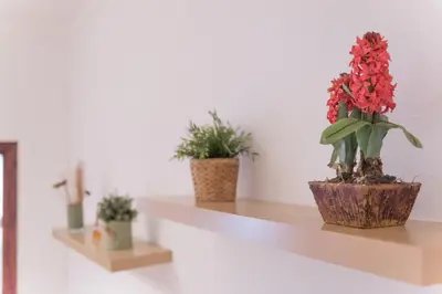three potted plants sitting on a shelf at Sweet BCN Studio with Terrace in Barcelona