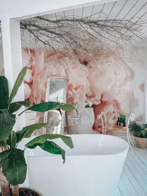 a bathroom with a white bath tub and a plant at Suite con Jacuzzi in Canyelles