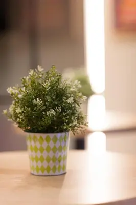 a plant in a polka dot pot sitting on a table at Airhostel Barcelona Airport 24h in El Prat de Llobregat