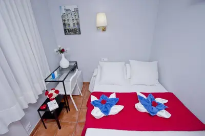 a bedroom with a bed with blue flowers on it at Barcelona City Rooms Hostal in Barcelona
