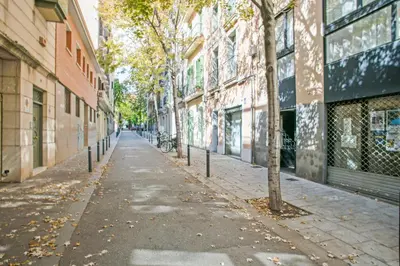 an empty city street with trees and buildings at Alcam Studio Alio3 in Barcelona