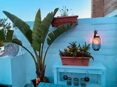 a potted plant on a blue wall with lights at Penthouse Sitges in Sitges