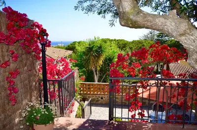 a garden with red flowers on a gate at ARTS HOUSE - Cabrils, Maresme, Barcelona in Cabrils