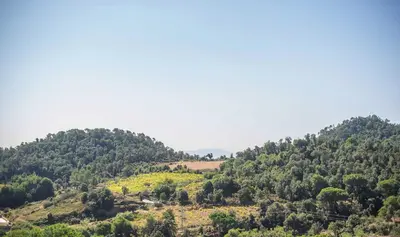 a view of a hill with trees on it at Sono & SPA - Adults Only in La Garriga