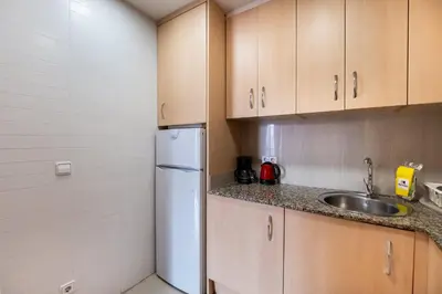 a kitchen with a white refrigerator and a sink at Apartamentos El Pintor in Barcelona