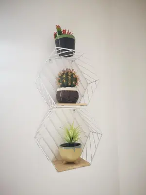 a shelf with three potted plants on it at Dip2 in Barcelona