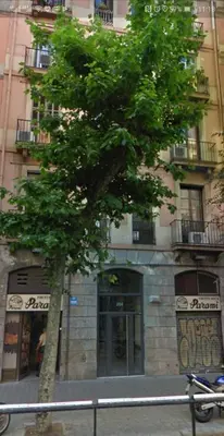 a tree sitting in front of a building at Dip2 in Barcelona