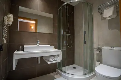 a bathroom with a sink and a shower and a toilet at Hotel & Spa Golden Barcelona in Vallromanas