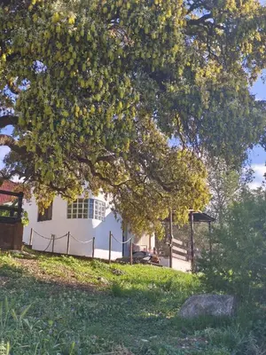 a tree in front of a white building at Masía Cal Simó - Casa rural con piscina, cerca de Sitges, para celebraciones y eventos in Canyelles