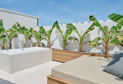a bathroom with a bath tub and plants at Hotel restaurant Ceferino in Vilanova i la Geltrú
