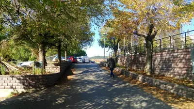 a person walking down a road next to trees at Hostal Sant Sadurní in Sant Sadurní dʼAnoia