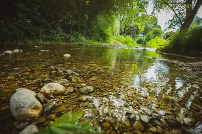 a river with rocks in the water and trees at El Molí Blanc in Lavid