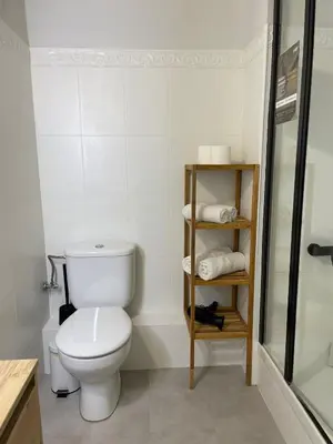 a bathroom with a toilet and a shower and towels at Hostal El Ninot in Barcelona