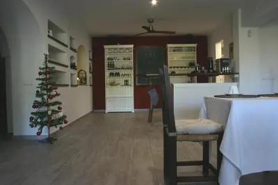 a kitchen with a christmas tree in a room at B&B Premium in Premia de Dalt