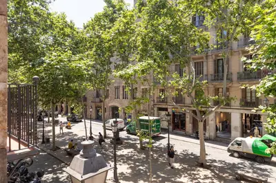 a view of a city street with trees and buildings at Decô Apartments Barcelona-Born St. in Barcelona