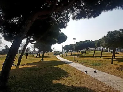 a path in a park with ducks on the grass at Rambla Poblenou&Mar Bella Beach in Barcelona