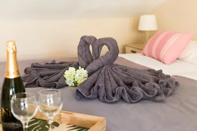 a blanket on a bed with a bottle of wine and glasses at Matarolux15 in Mataró