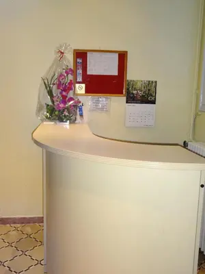 a counter in a room with flowers on it at Hostal Sant Carlo in Barcelona