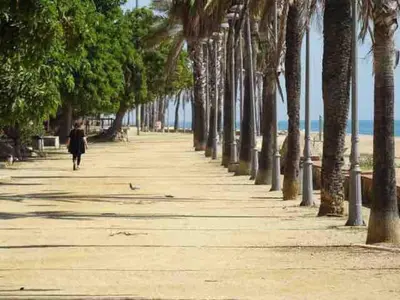 a woman walking down a sidewalk lined with palm trees at Espectacular apartamento cerca de Barcelona con free wifi in Canet de Mar