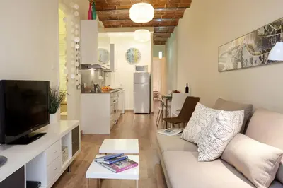 a living room with a couch and a tv at CON GRACIA in Barcelona