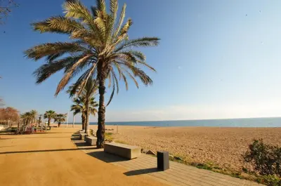 a beach with two palm trees and a bench at HomeHolidaysRentals Etoile in Calella