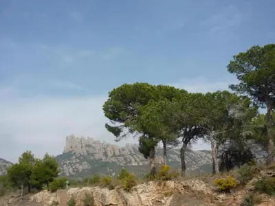 a group of trees on top of a mountain at Cottage in Maians with Sea View & Pool in Castellfullit del Boix