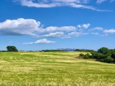 a field of green grass with a blue sky and clouds at Cottage in Maians with Sea View & Pool in Castellfullit del Boix