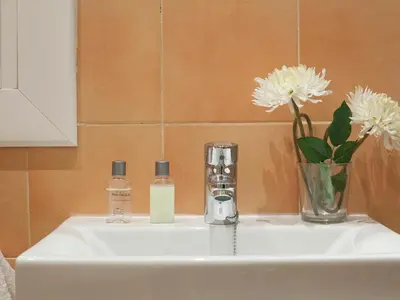 a sink with two bottles of soap and a vase with flowers at Spot Smart Nomad in Barcelona