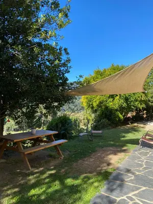 a picnic table under a tree in a park at El Porxo de Can Baixeres PB-00318 in Montseny