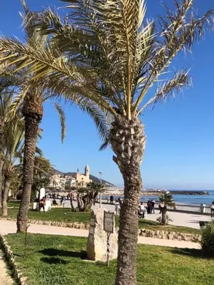two palm trees in a park near the beach at Apartamento Montroig 2 in Sitges